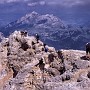 Leaving the high point of the Bianchi via ferrata to return to the Lorenzi hut, Cristallo.